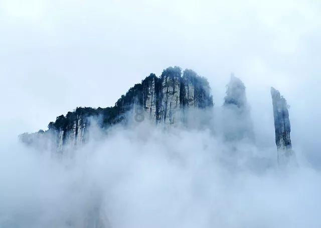 春雨直播app